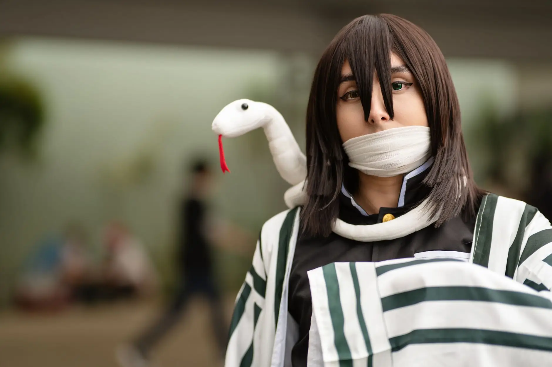 Perguntas Frequentes sobre Animes e Fandom