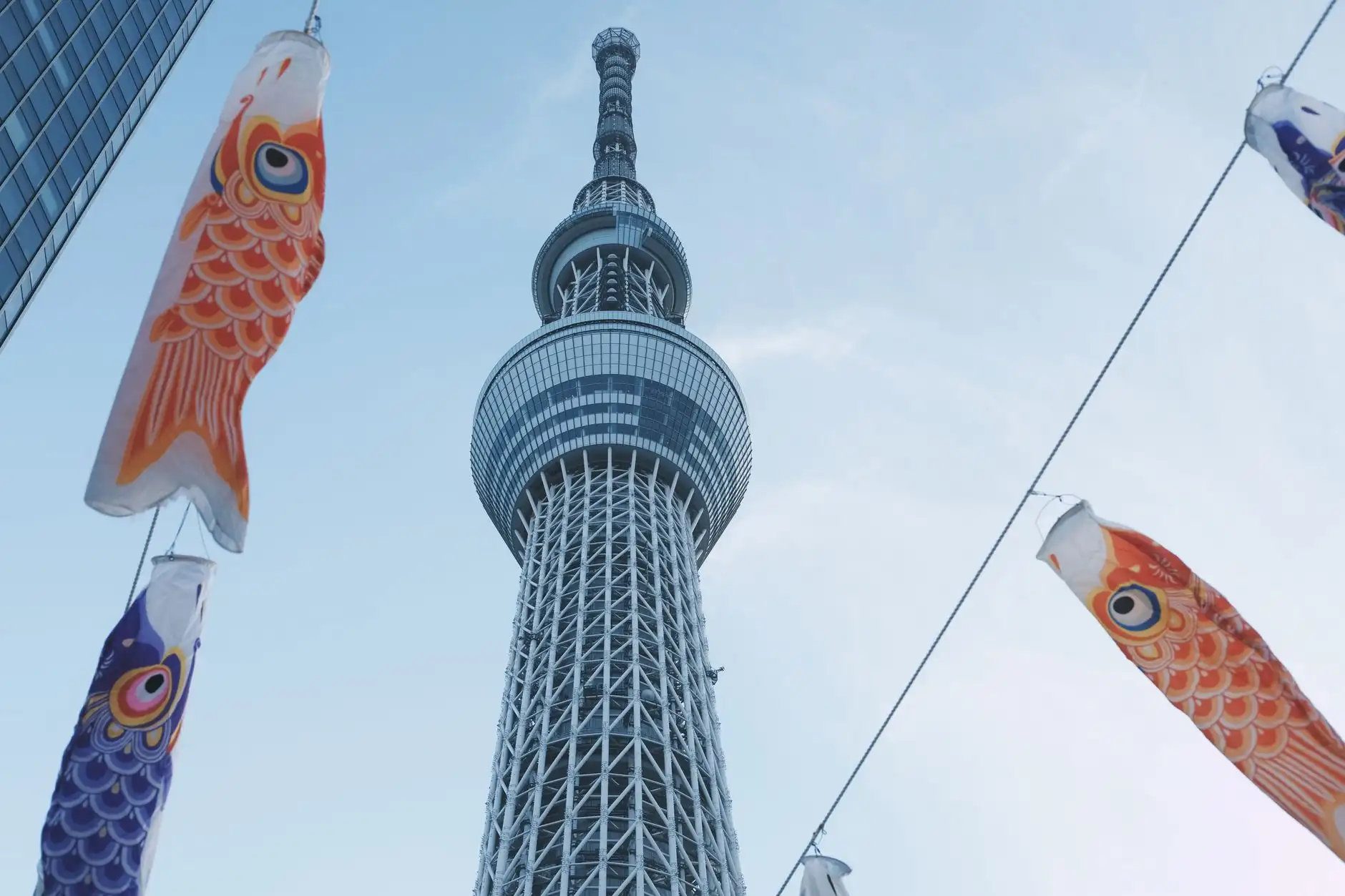 Capa do artigo: Animes e Cultura Japonesa: Mais Que Entretenimento em 2025!