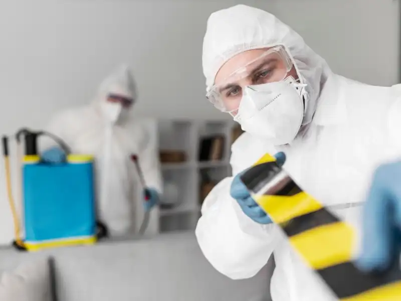 Capa do artigo: Detecção de Pragas: Como a Inteligência Artificial Pode Ajudar